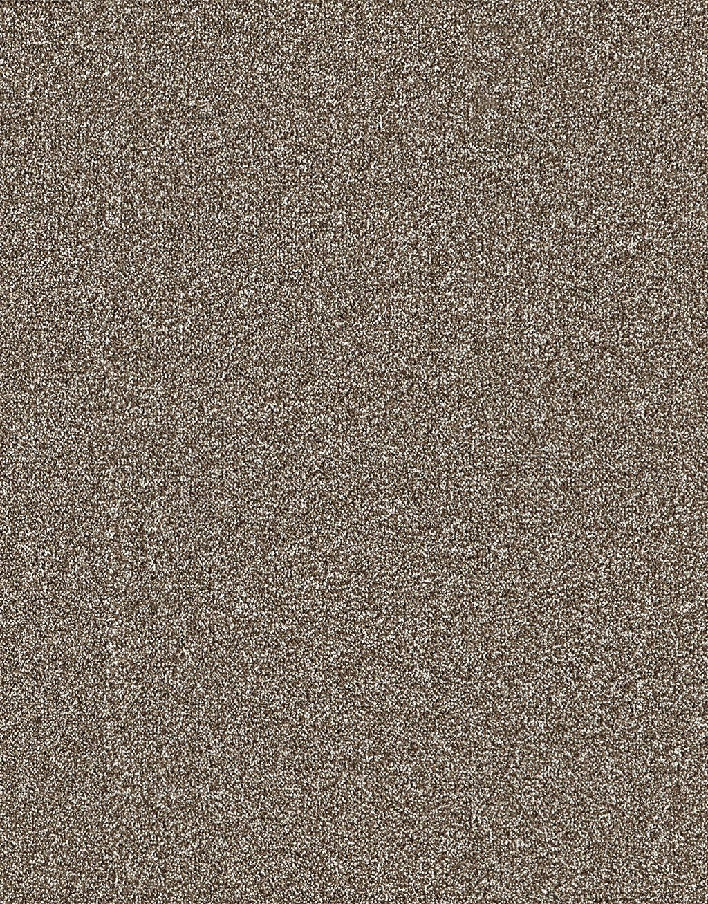 Mardale Dual Backing 8mm Pile Carpet